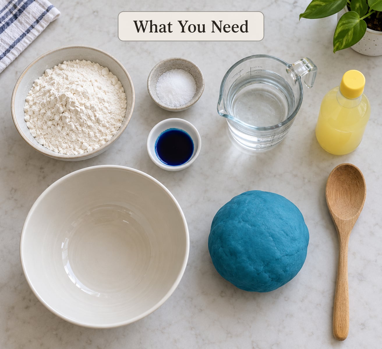 What You Need